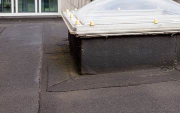 disadvantages of Pentreheyling flat roofs